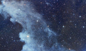 Meet your Posher, Abigail